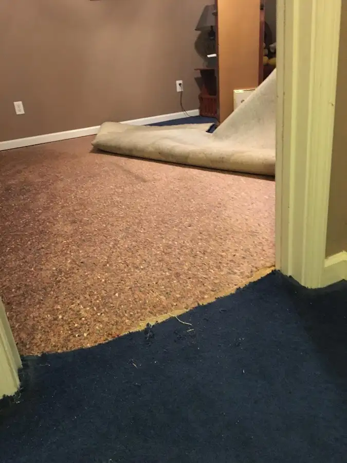 Carpet pad removal revealing water damage during Water Mitigation Services in Holly Ridge