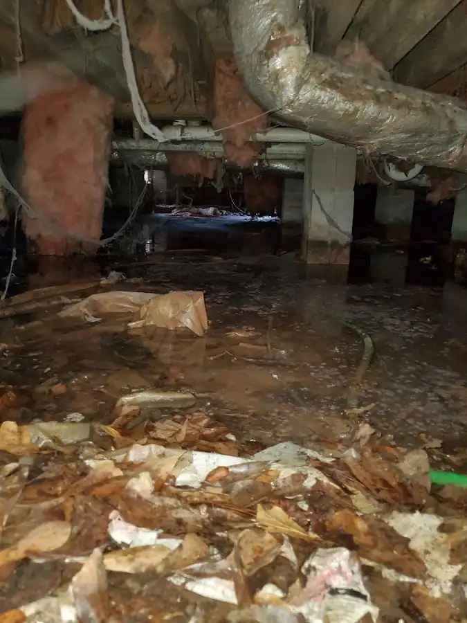 Crawl space flood assessment for Commercial Water Damage Restoration in Holly Ridge